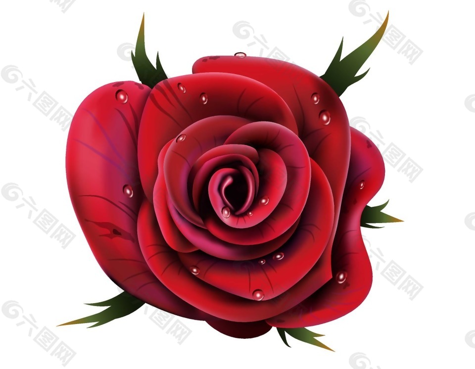 红色玫瑰png元素