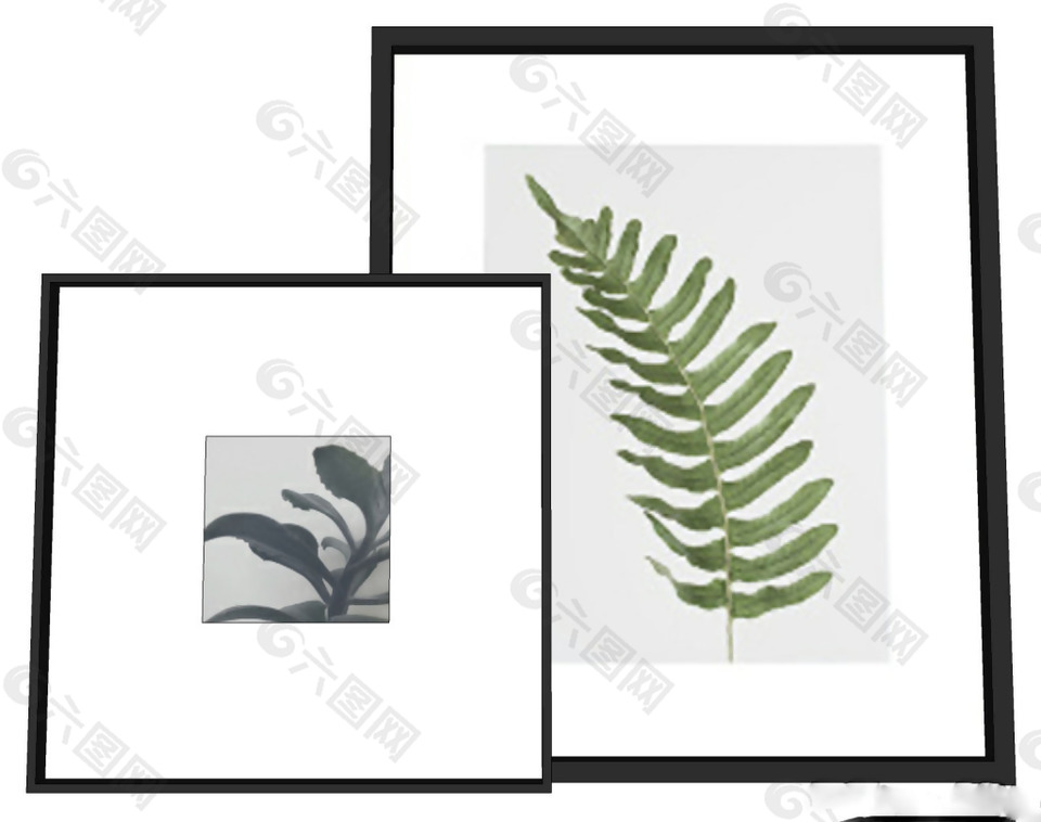 现代简约树叶装饰画