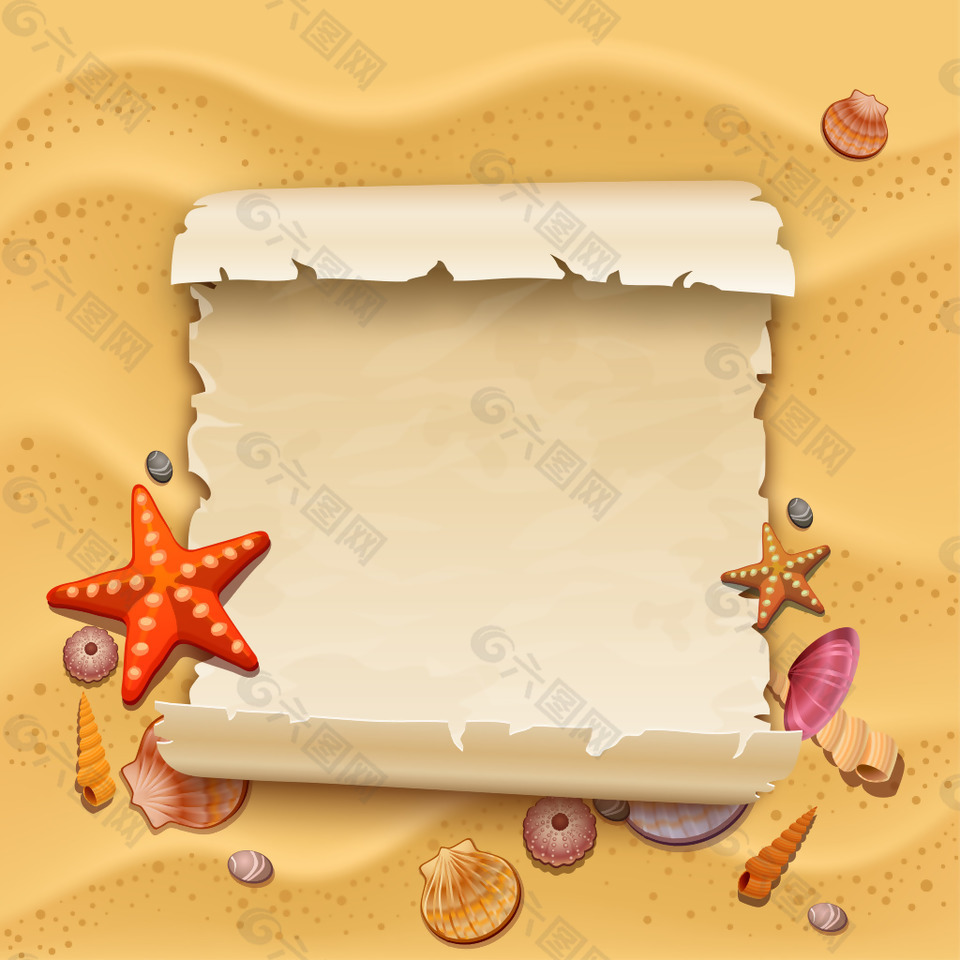 沙滩上的海星和贝壳插画