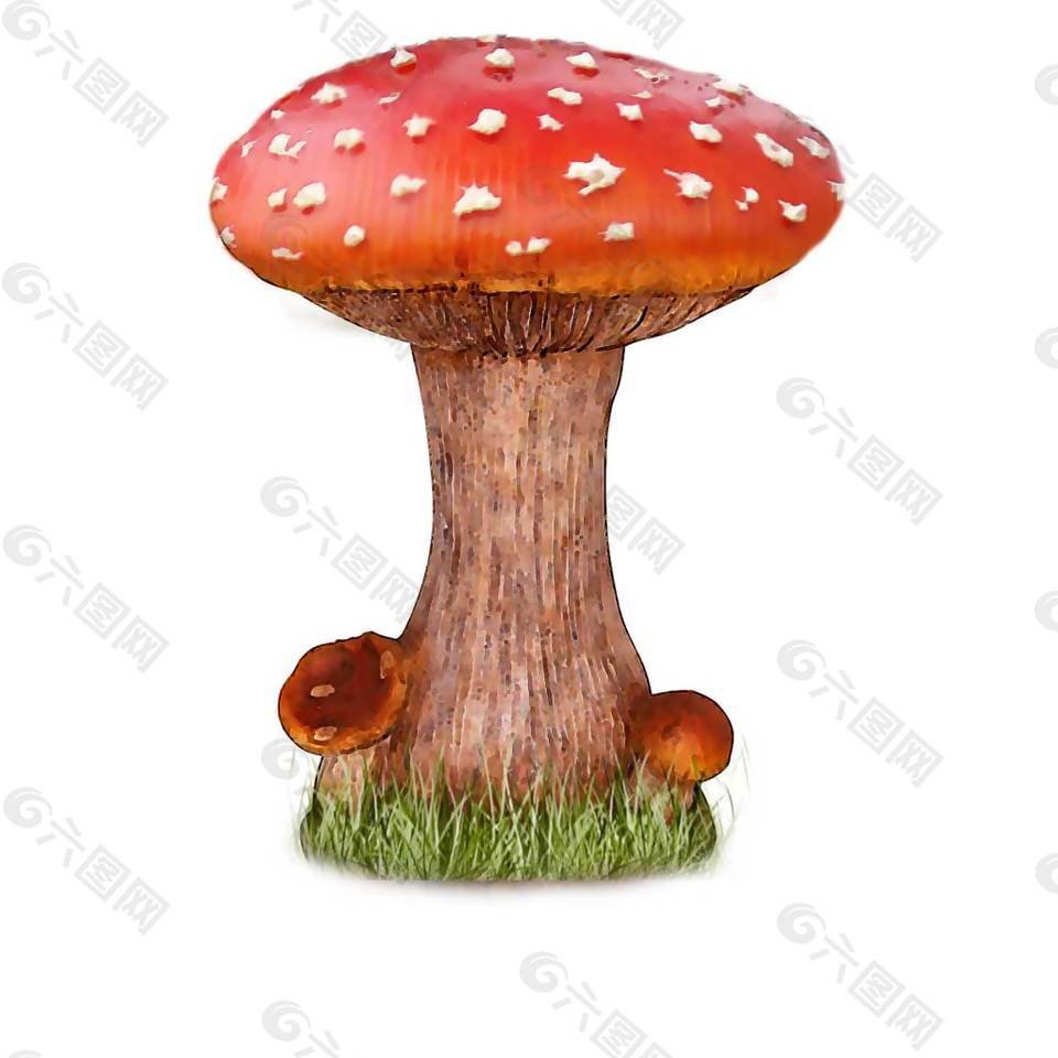 红色毒蘑菇png元素