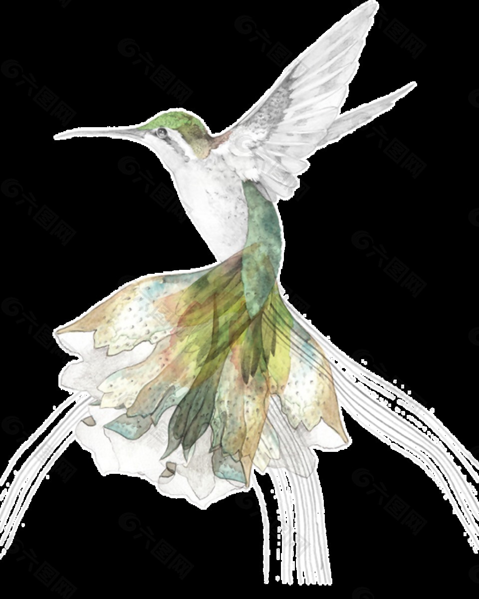 手绘蜂鸟透明装饰素材