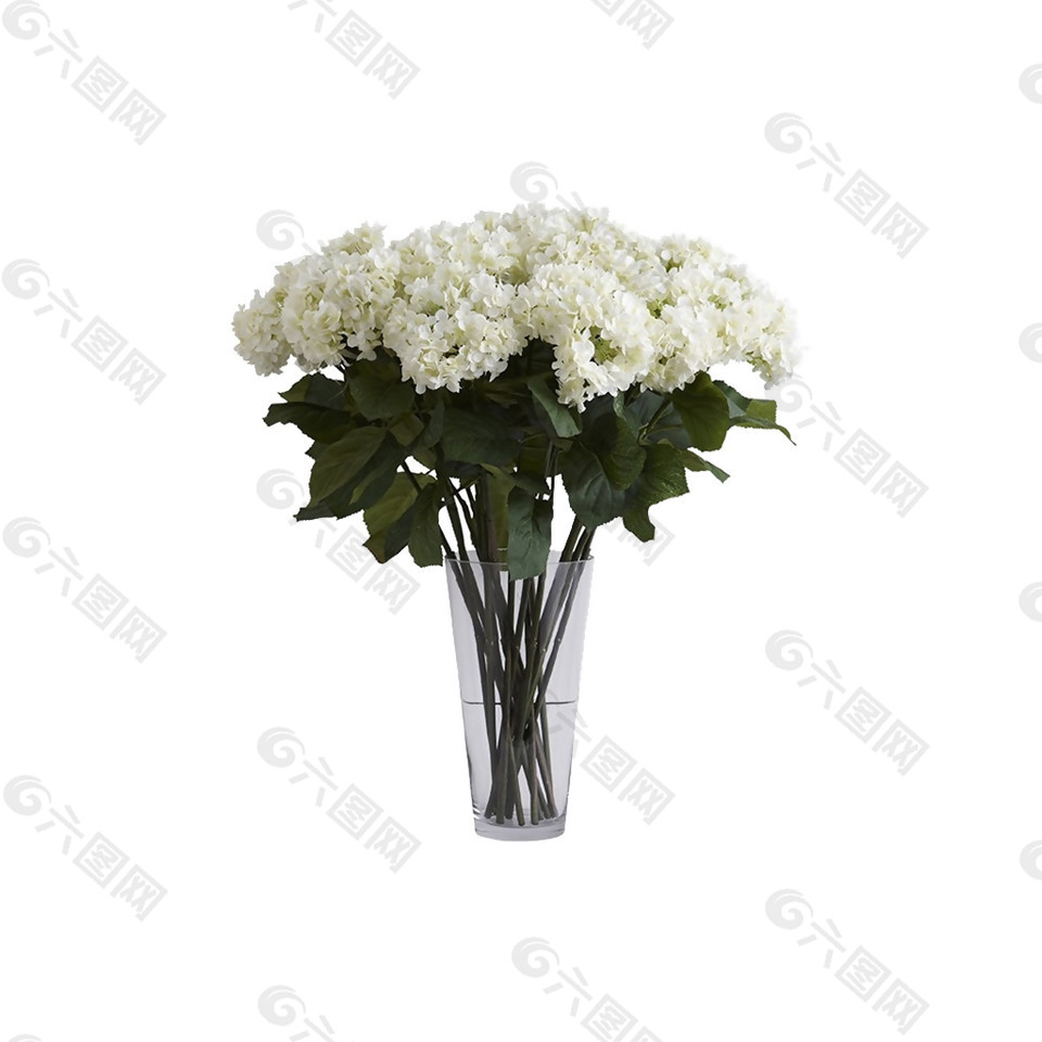 淡雅白色菊花花朵花束实物元素