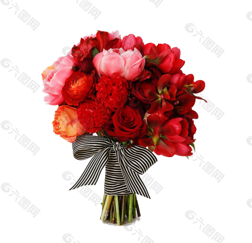 情人节表白红色玫瑰花花朵花束实物