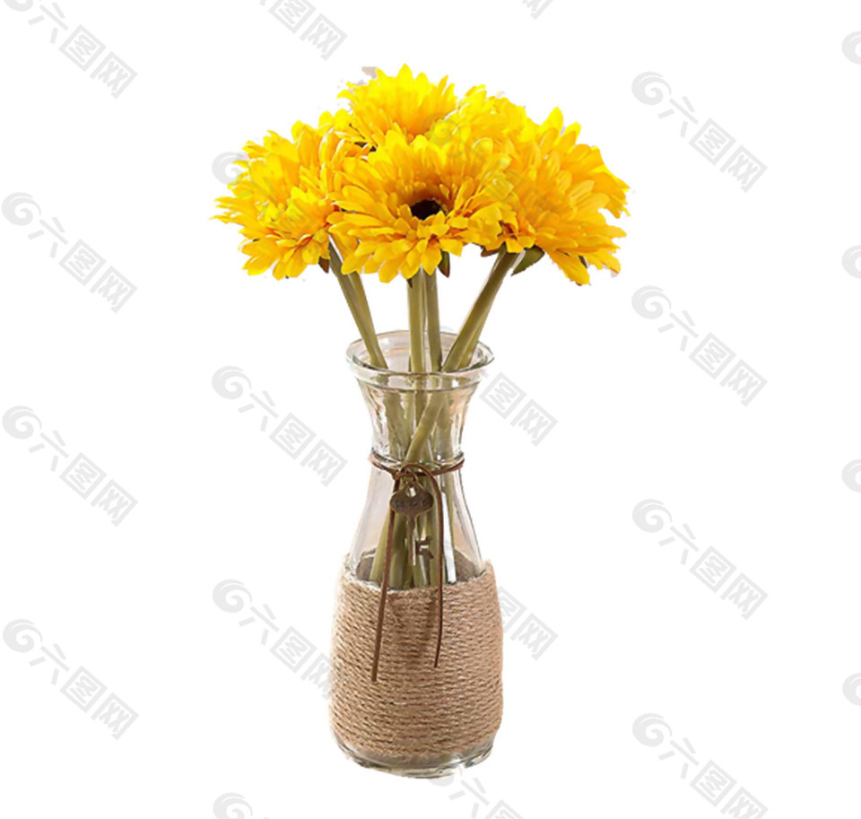 清新黄色菊花花朵花束实物元素