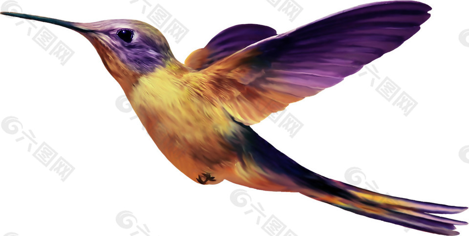 帅气紫色展翅飞翔小鸟产品实物设计元素素材免费下载 图片编号 六图网