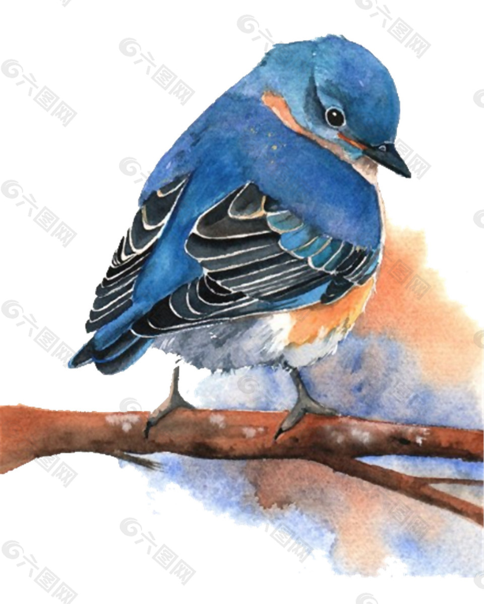 可爱精灵蓝色小鸟装饰元素