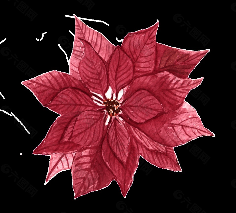 红色枫叶花卉免抠图素材