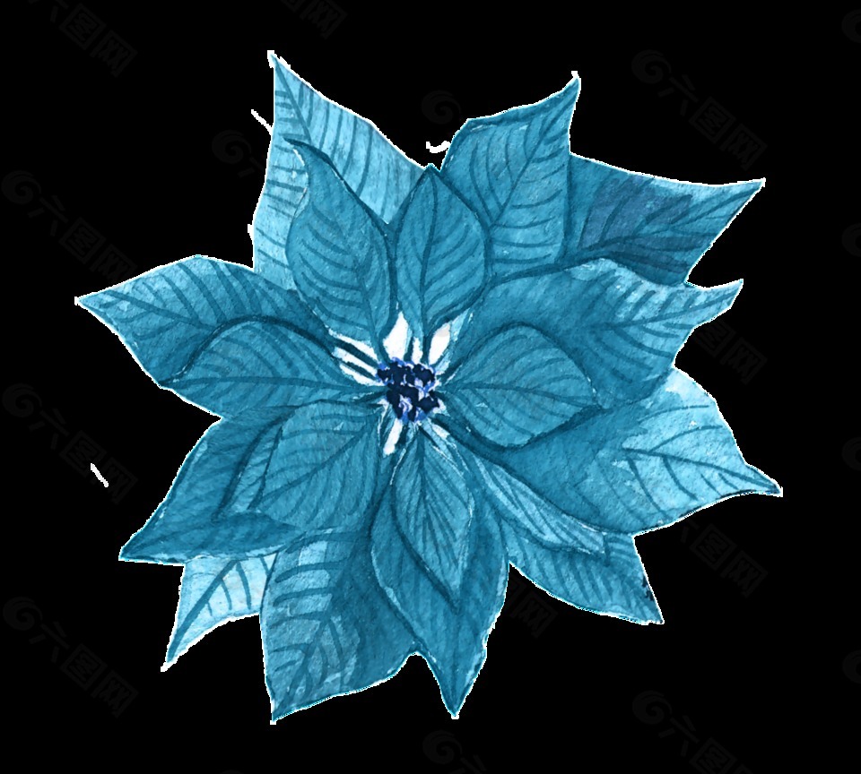 蓝色叶子花卉免抠素材