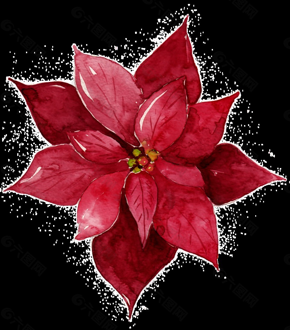 红色花卉免抠图素材