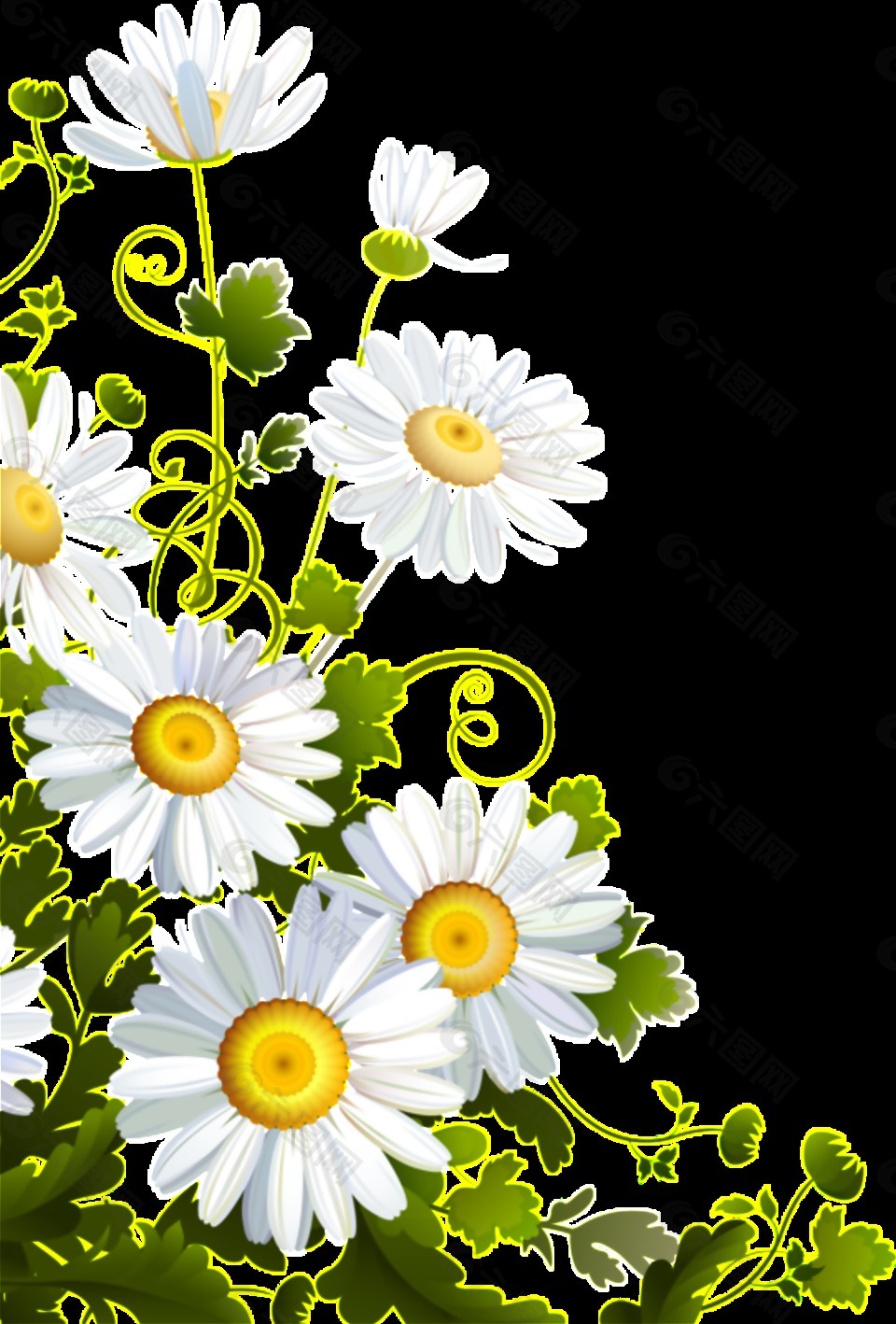 明亮白色手绘菊花装饰元素