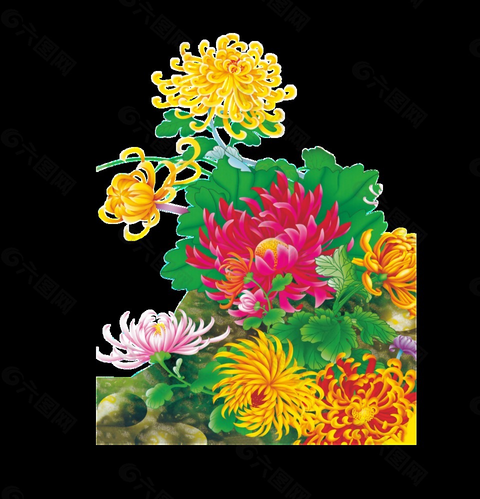 色彩鲜艳手绘菊花装饰元素