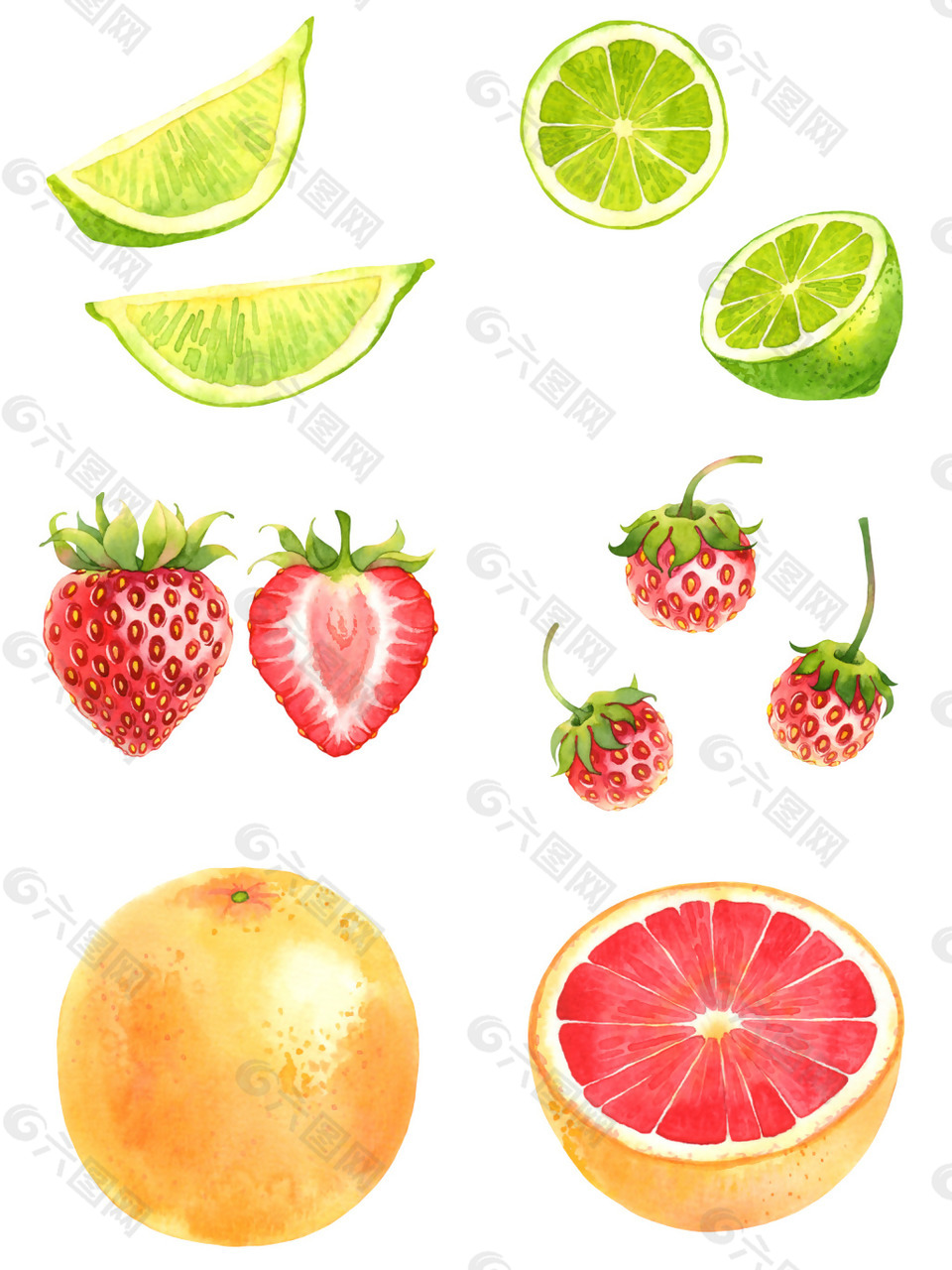 时尚清新水果插画