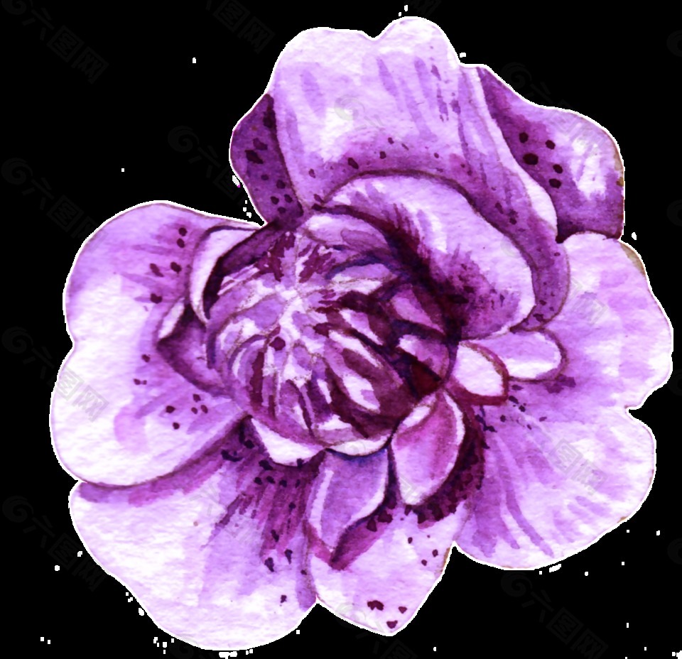 紫月季花透明素材png设计元素素材免费下载 图片编号 六图网