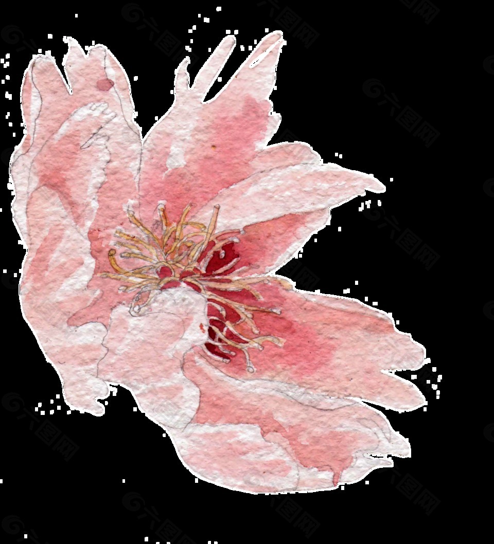 一朵复古水彩花透明素材png设计元素素材免费下载 图片编号 六图网