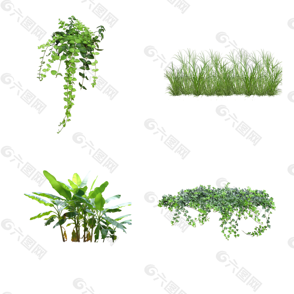 绿色植物合集卡通免扣素材