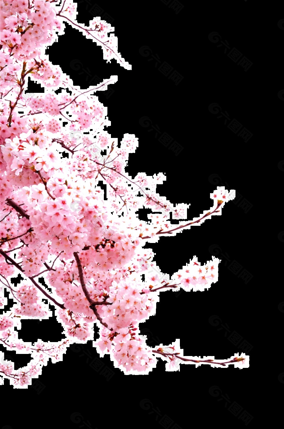 浪漫中国风彩绘粉色花朵元素