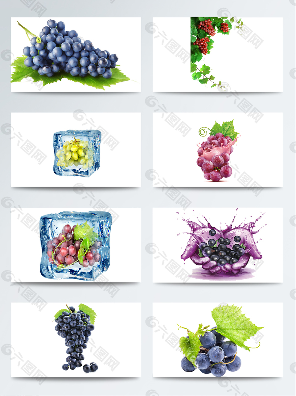 透明素材葡萄水果合集
