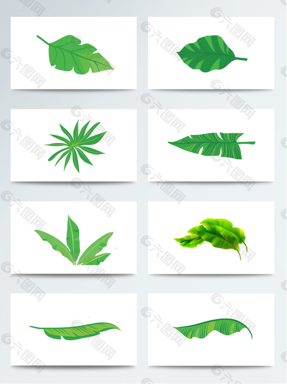 卡通手绘热带植物芭蕉叶子PNG元素