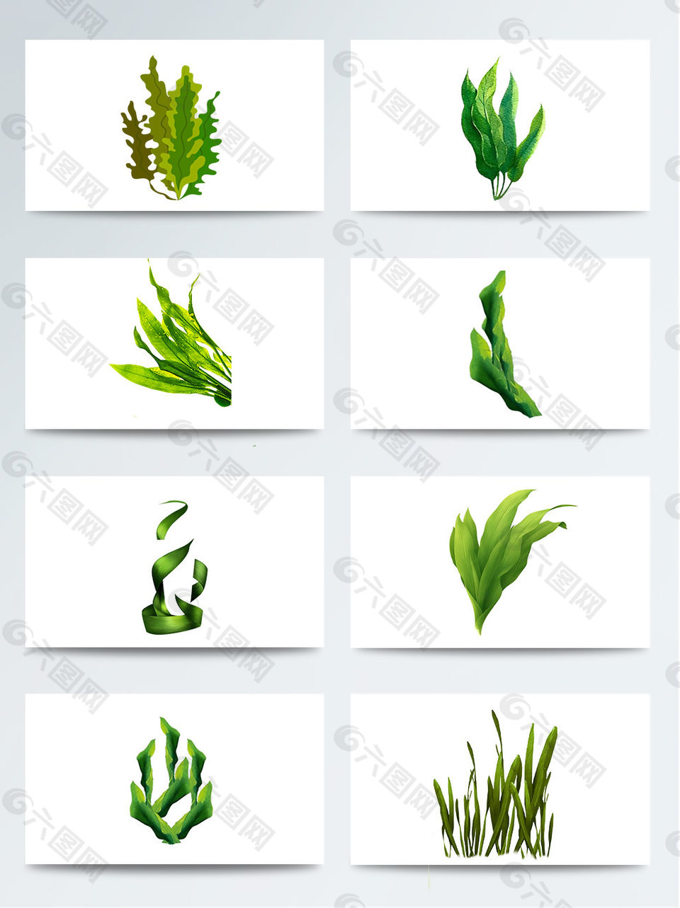 海底植物绿色水草叶子PNG元素图