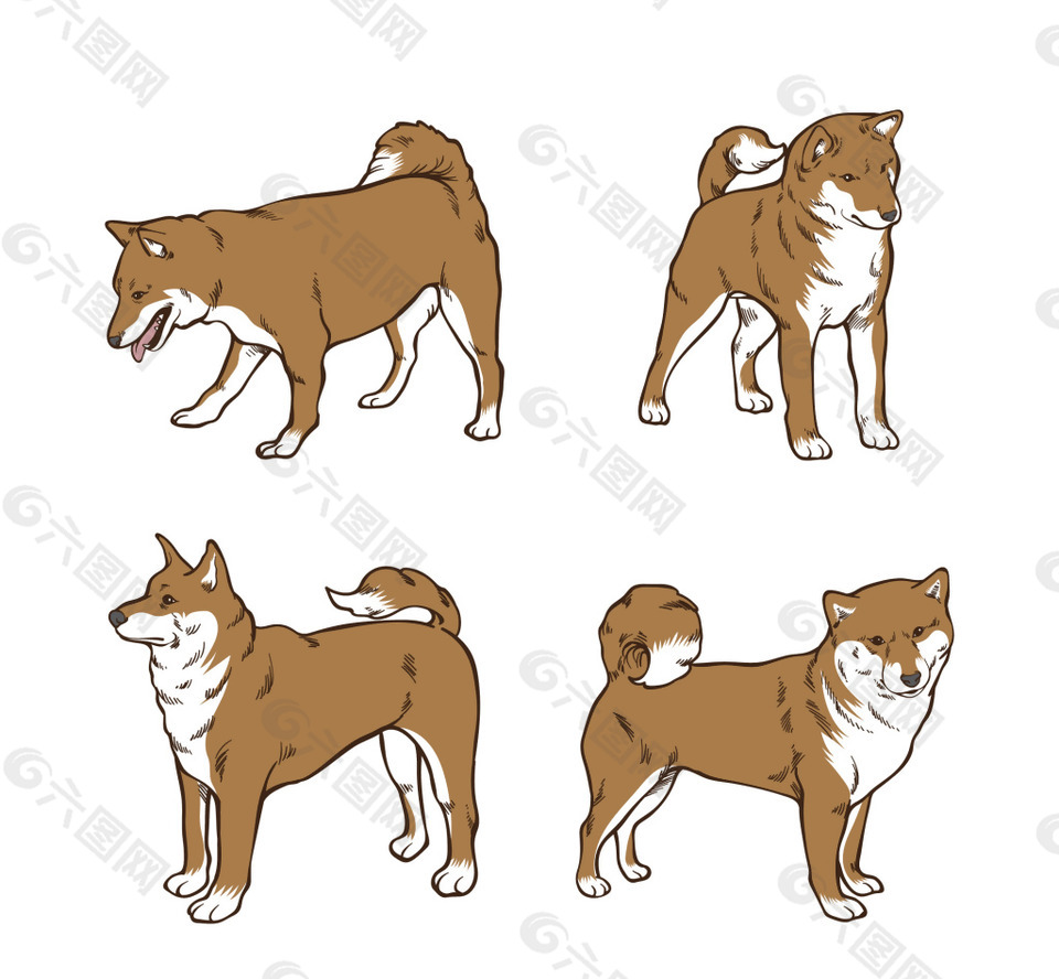 四种姿势的大狗素材