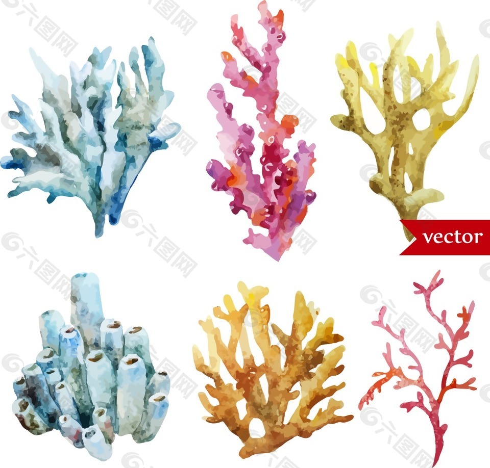 美丽的水彩绘珊瑚设计元素素材免费下载 图片编号 六图网