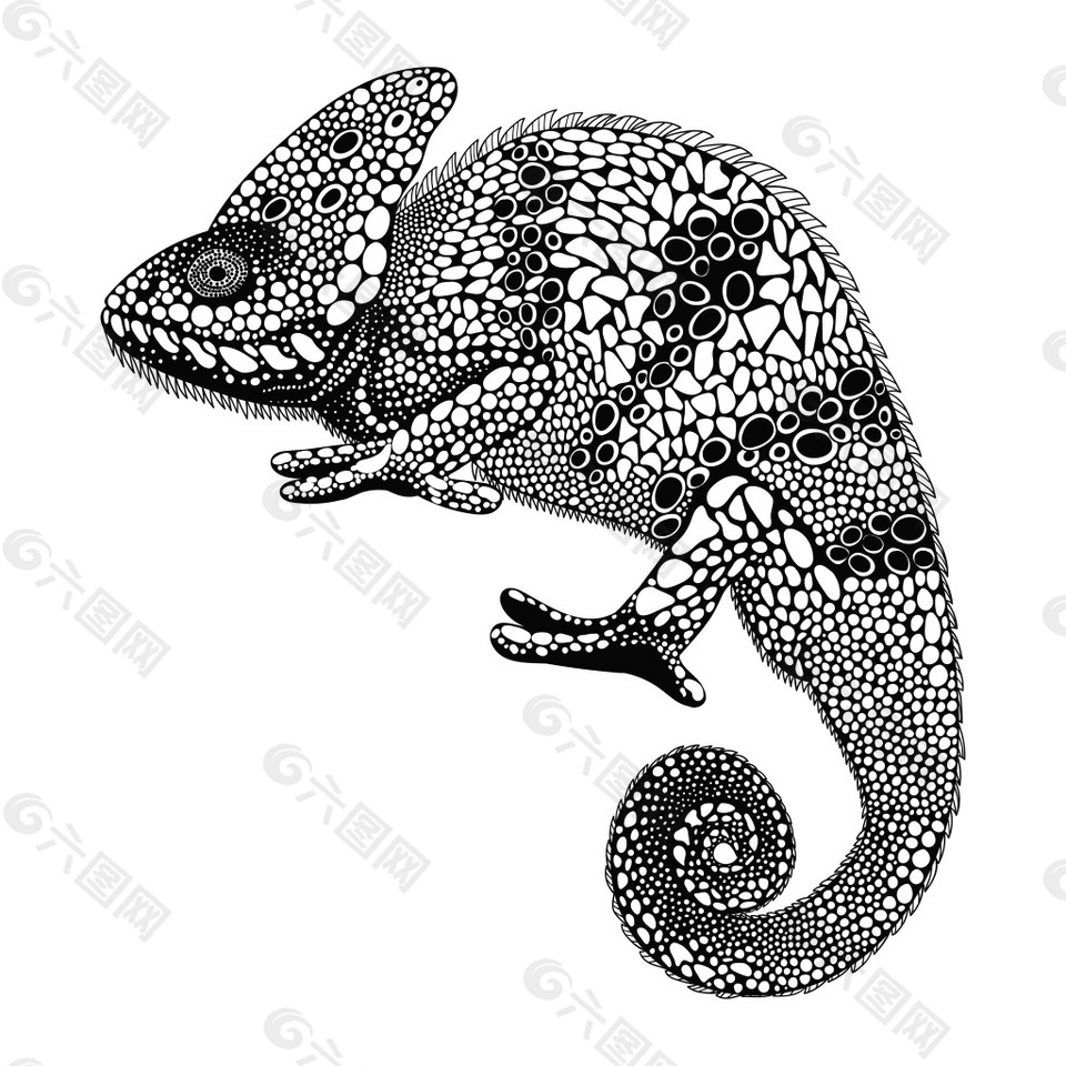 黑白艺术手绘蜥蜴插画