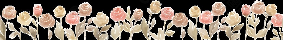 玫瑰花丛PNG透明素材