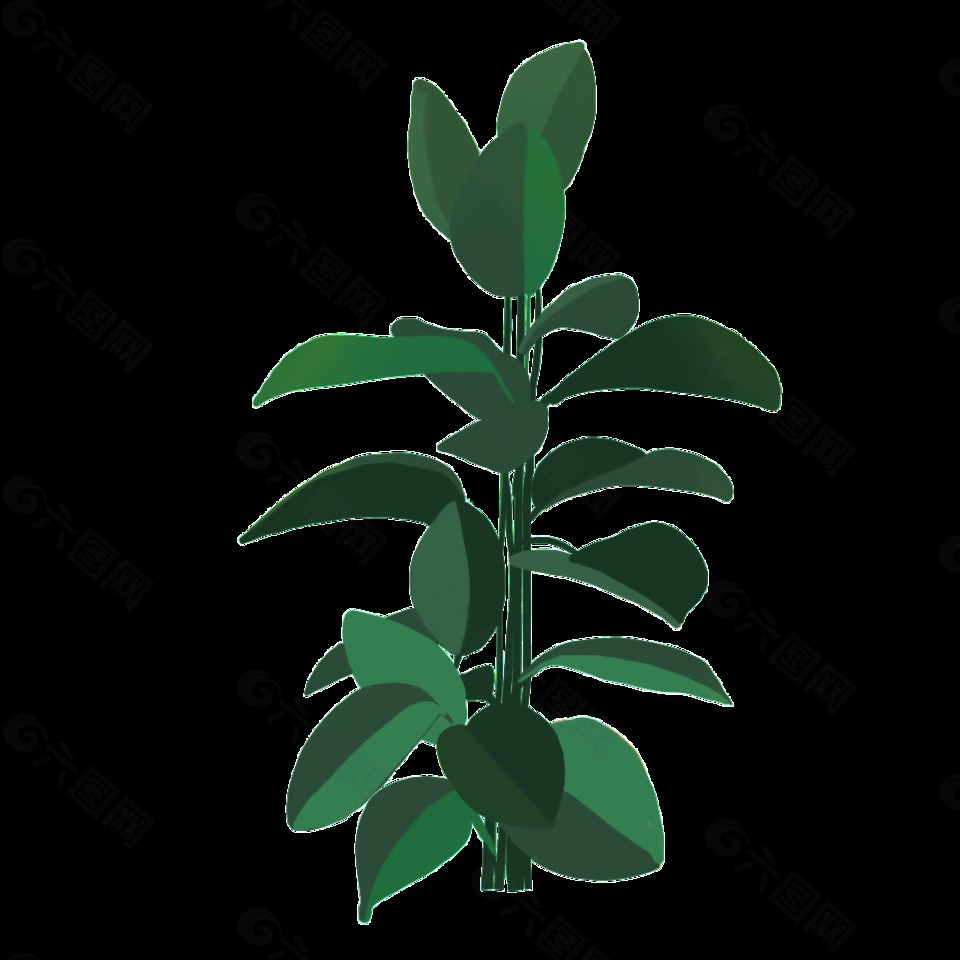 印度榕树植物PNG透明素材