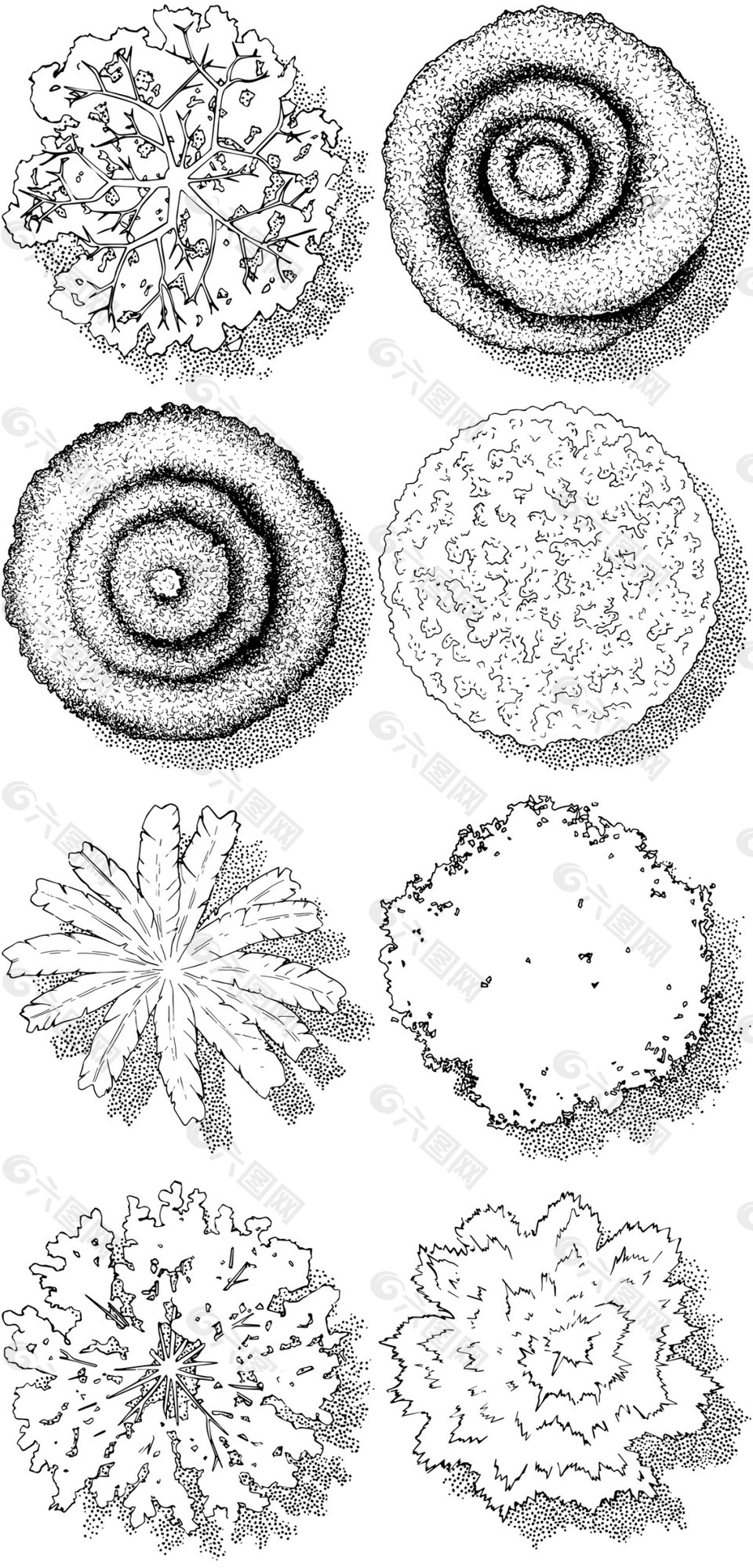 园林手绘大树插画