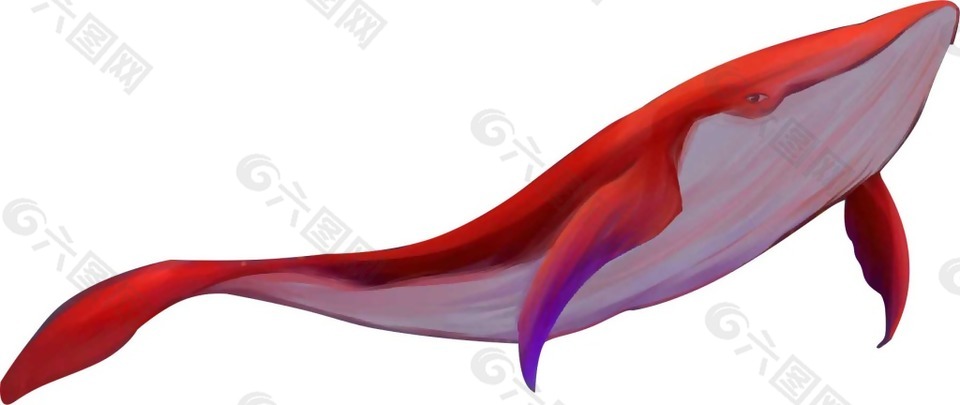 卡通红色鲸鱼png元素