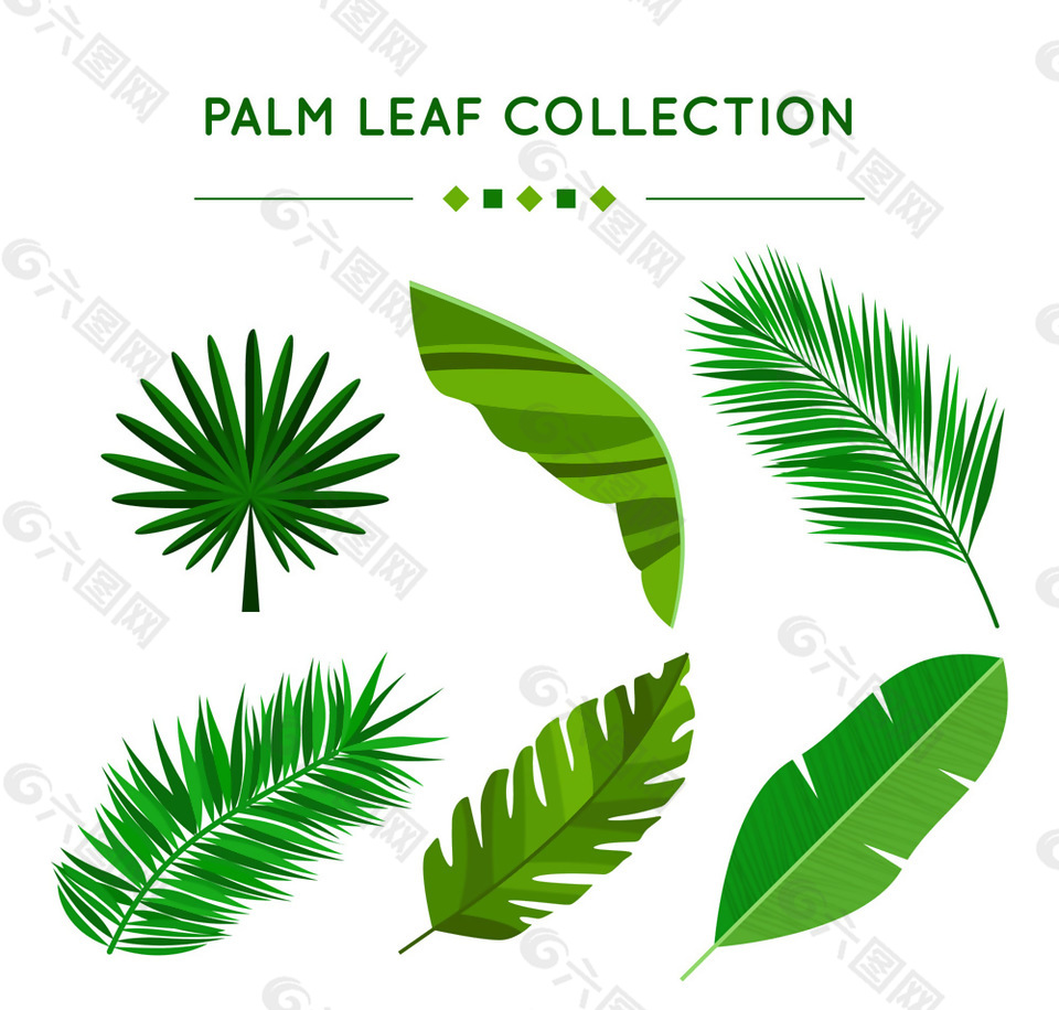6款绿色棕榈树叶矢量素材