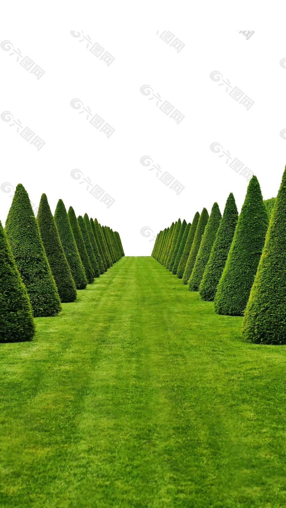 清新翠绿公园png元素