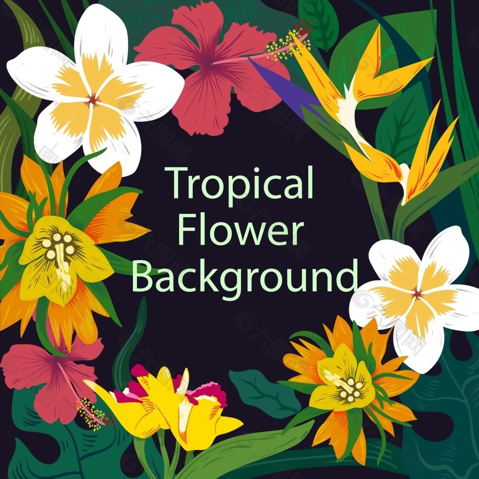 精美热带植物花朵背景设计