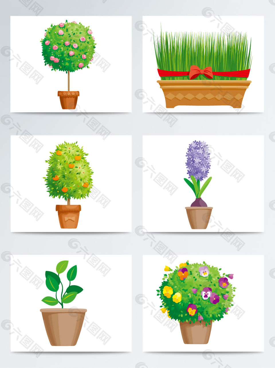 园艺花卉盆栽植物素材