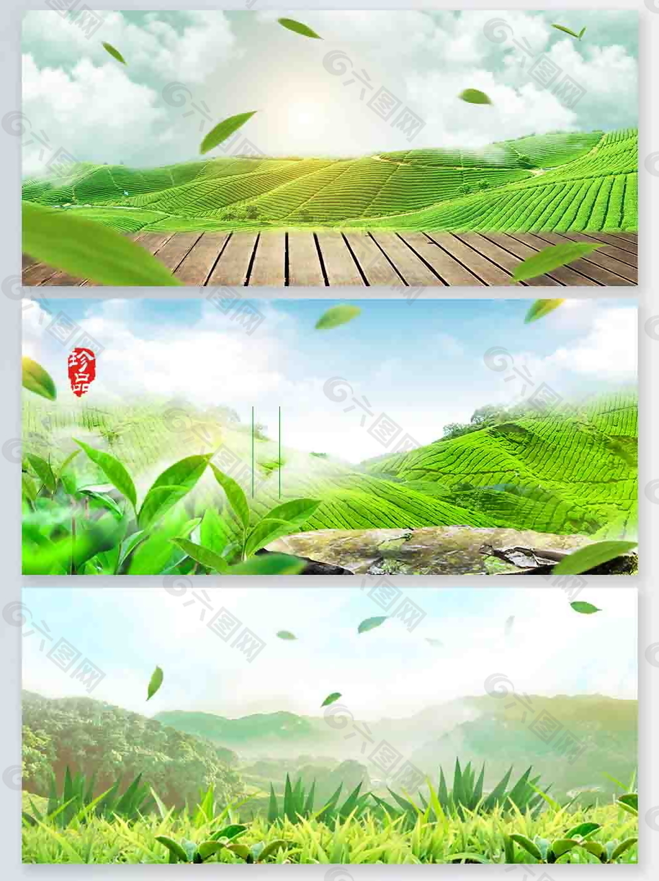 绿叶茶山茶园海报背景