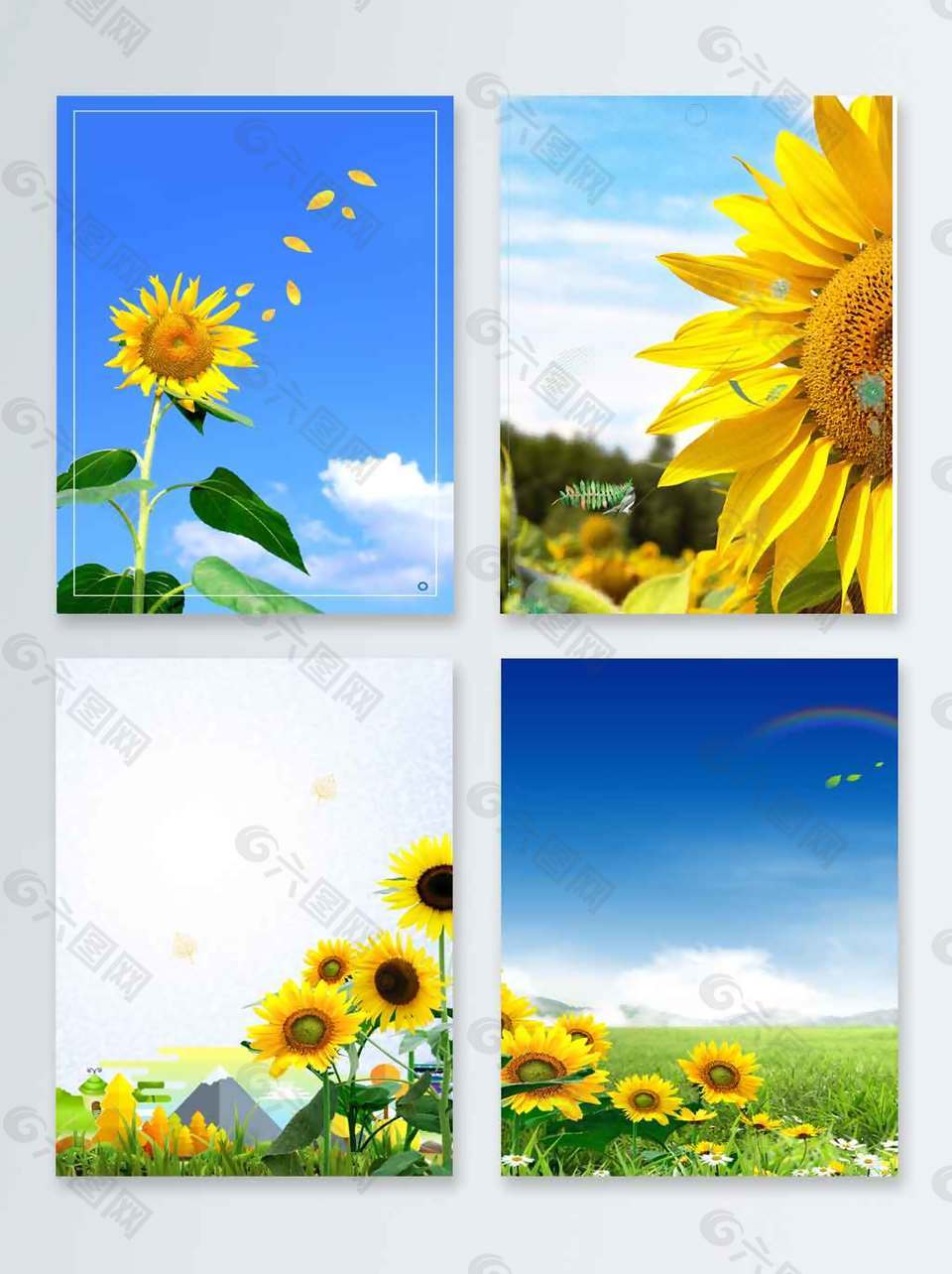 创意大气简约太阳花背景背景素材免费下载 图片编号 六图网
