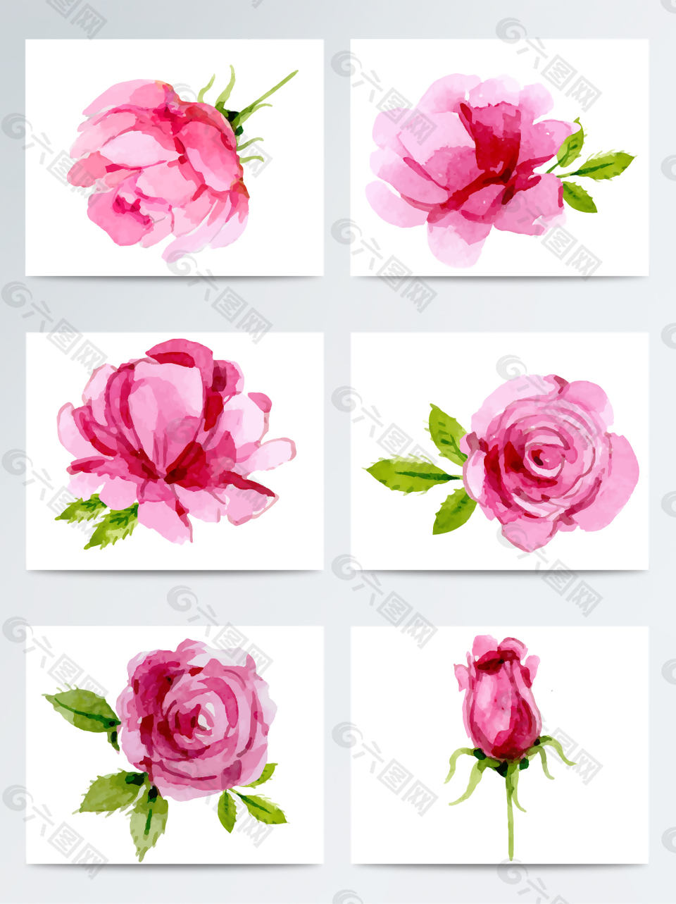 唯美手绘水彩粉色蔷薇花