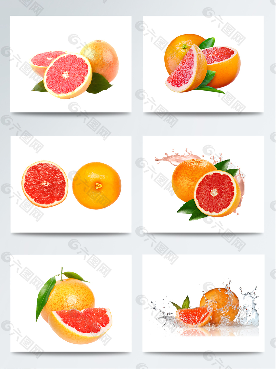 夏季橙子元素设计