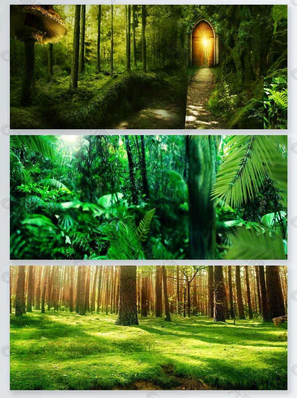 绿色简约淘宝女装森系森林海报背景背景素材免费下载 图片编号 六图网