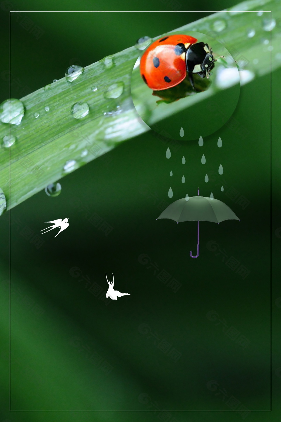 绿色传统谷雨雨滴海报背景设计