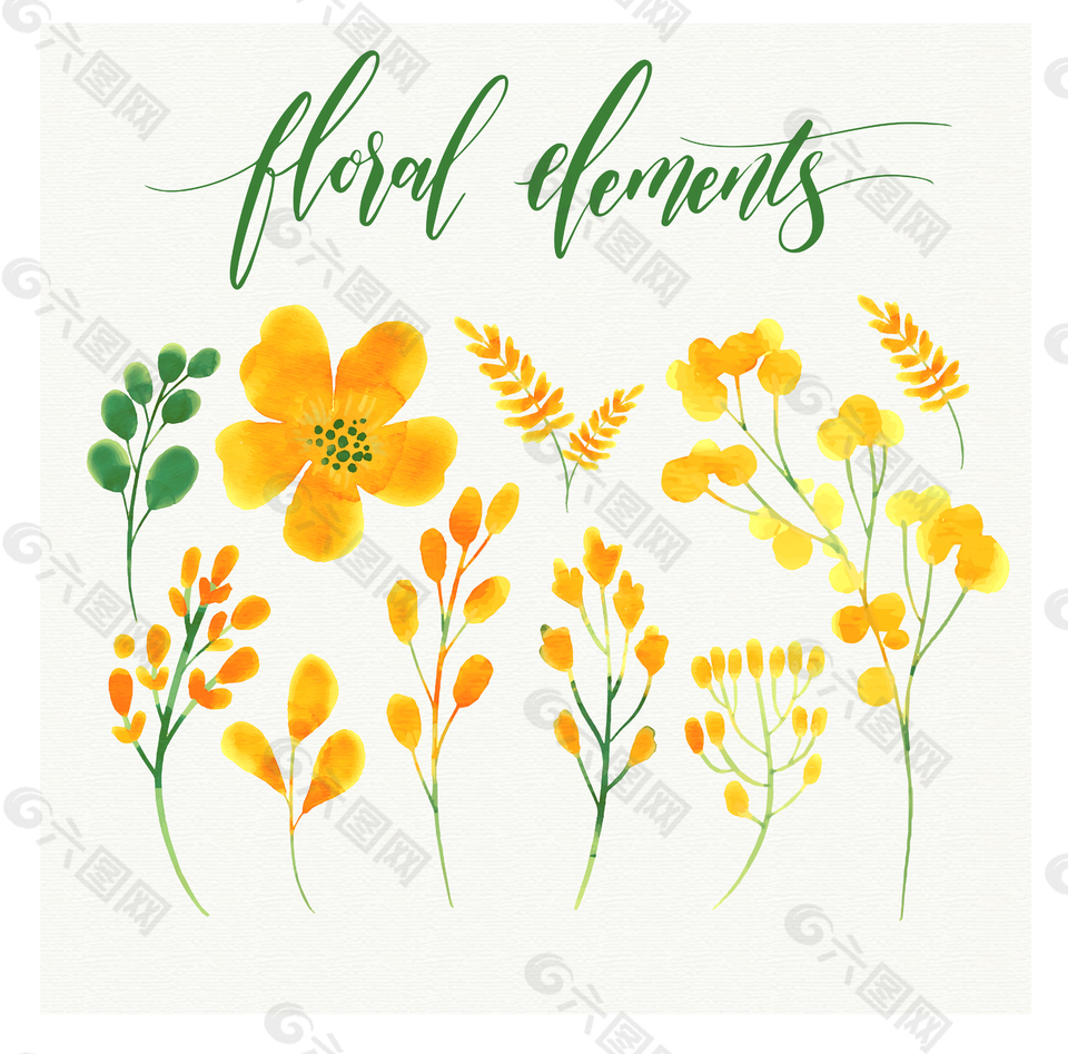 水彩绘黄色的花卉插画