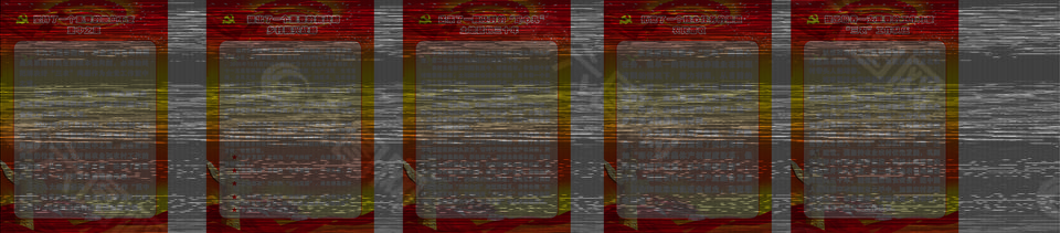 十九大农村战略展板