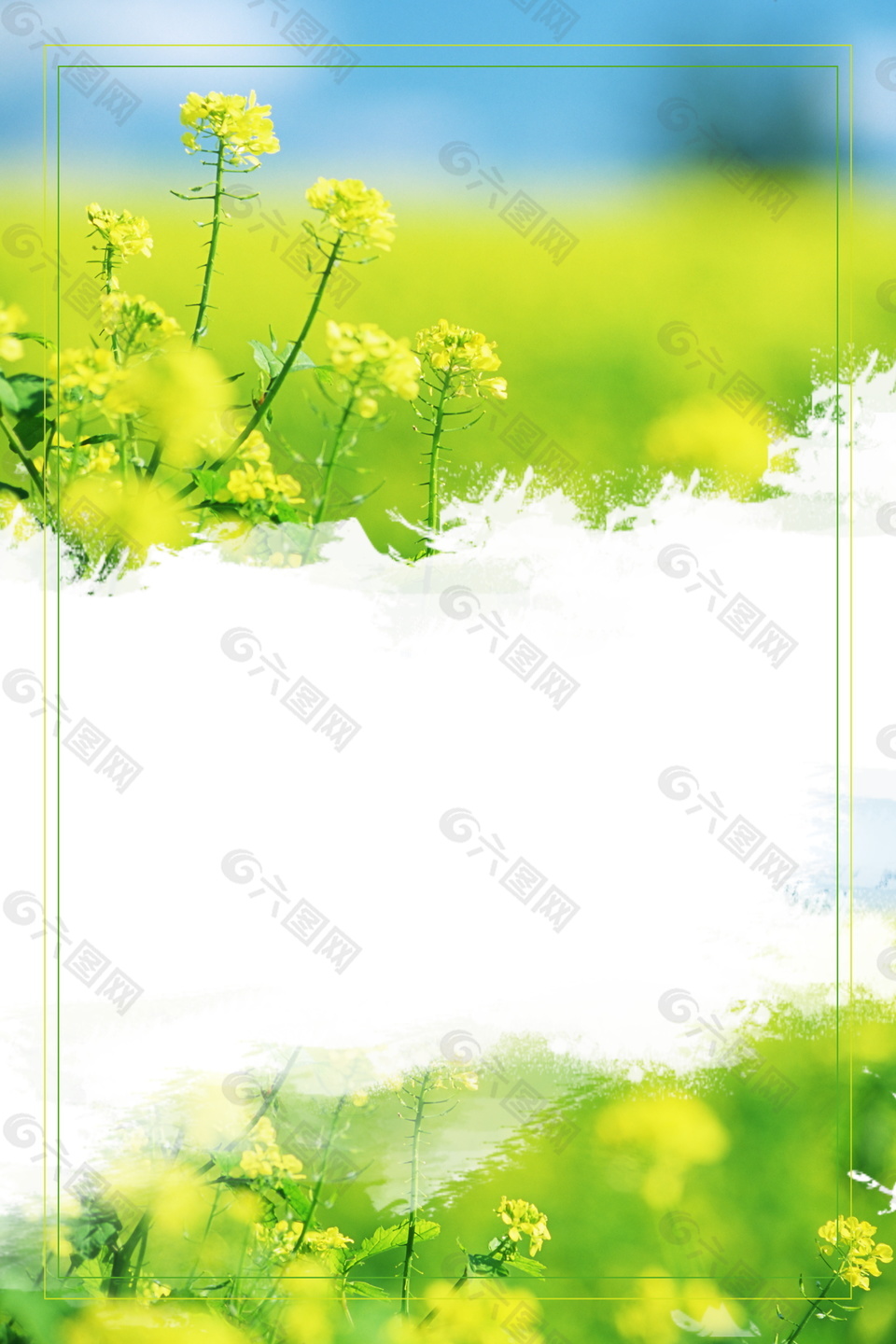 清新油菜花海报背景设计