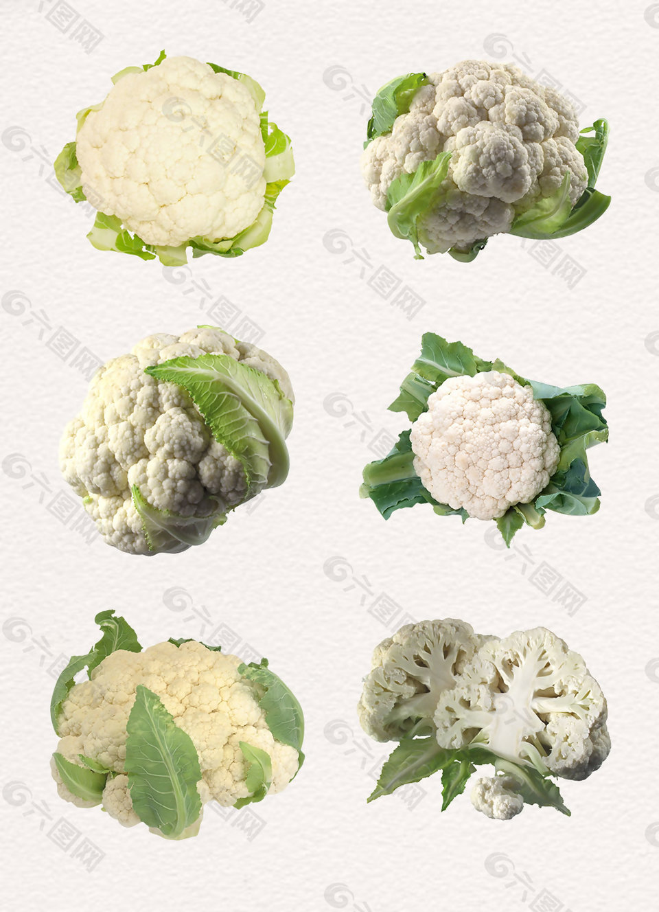 绿色新鲜白花菜素材