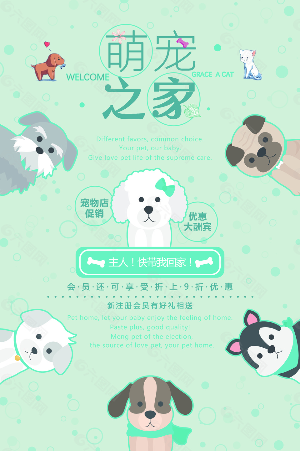 卡通萌宠之家宠物美容海报