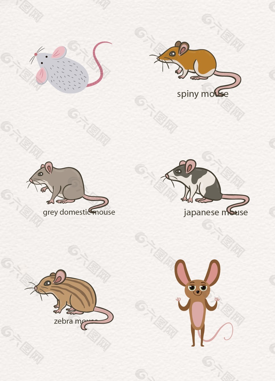 彩色可爱设计动物老鼠