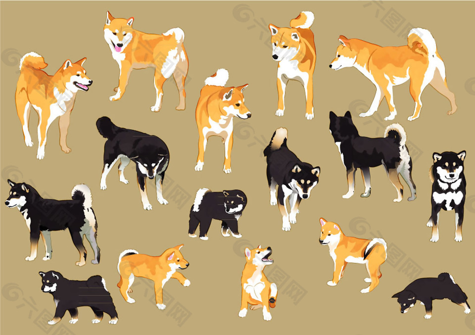 16款彩绘日本四国犬和柴犬矢量素材平面广告素材免费下载 图片编号 六图网
