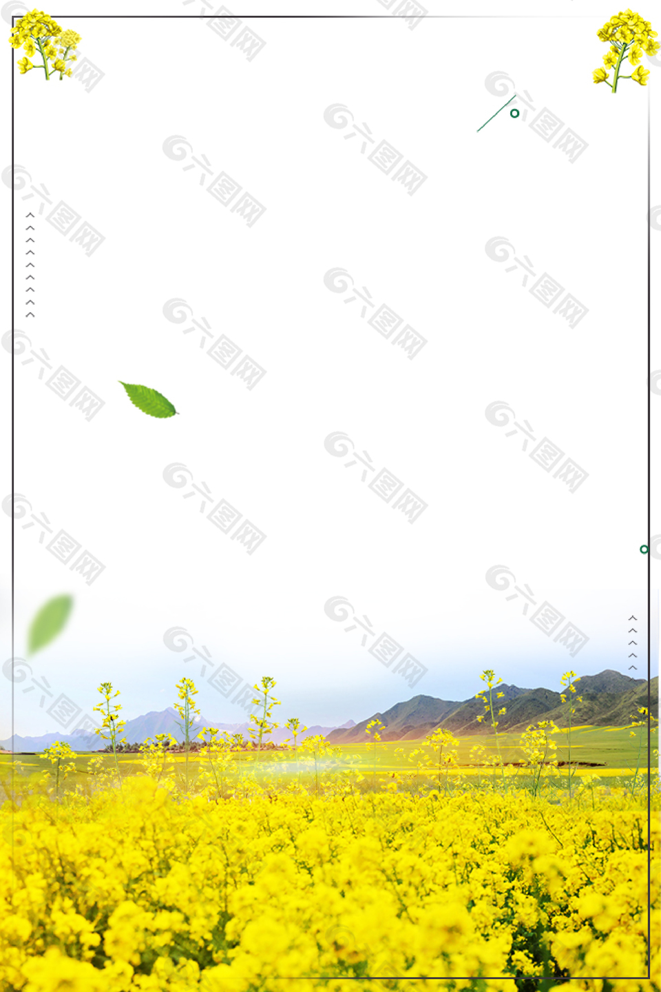 春季油菜花装饰边框背景