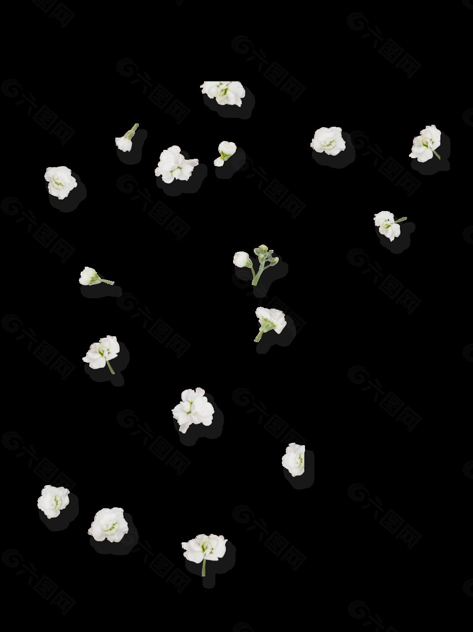 白色唯美花朵装饰素材