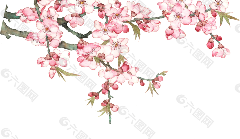 水彩绘桃花盛开桃树元素